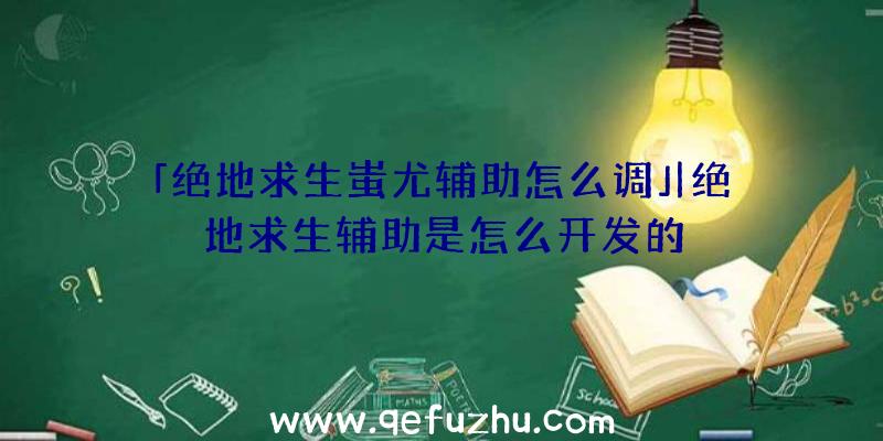 「绝地求生蚩尤辅助怎么调」|绝地求生辅助是怎么开发的